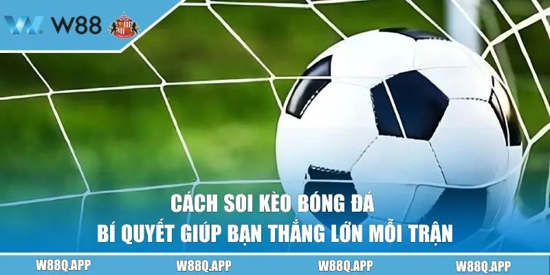 Cách Soi Kèo Bóng Đá | Bí Quyết Giúp Bạn Thắng Lớn Mỗi Trận