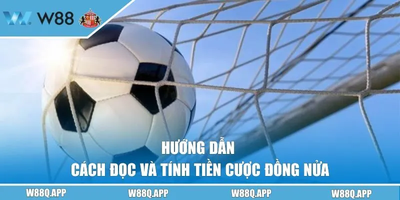 Hướng dẫn cách đọc và tính tiền cược đồng nửa